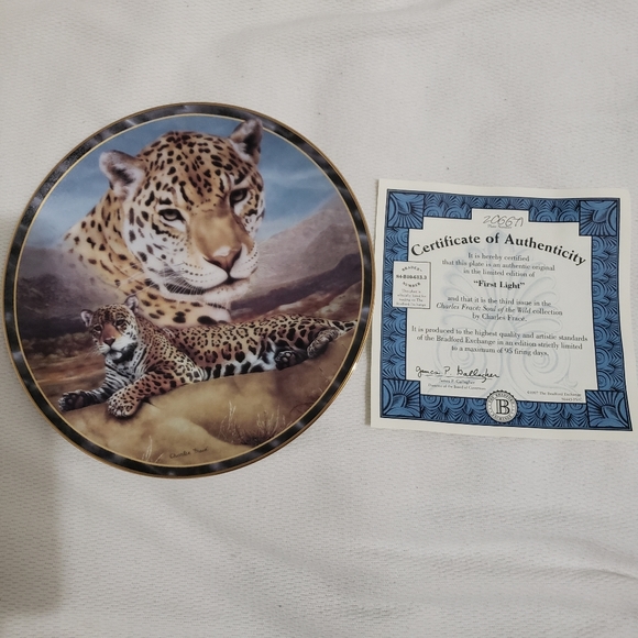 Collection plate - Picture 3 of 4